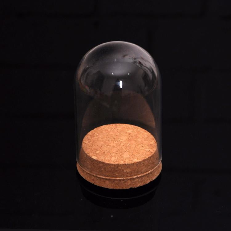 10x Mini Glass Display Dome Cover Doll Toy Crafts Cloche With Wood Cork 