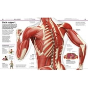 DK Knowledge Encyclopedias Knowledge Encyclopedia Human Body!: Human Anatomy as Youve Never Seen It Before, (Hardcover)