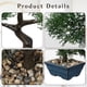 thumbnail image 5 of Árbol Bonsái Artificial de Enebro con Maceta Cerámica Azul, 5 of 6
