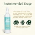 thumbnail image 5 of Breedwise Pet Provisions Dog Deodorizer Spray, Sweet Pea and Vanilla Scent, 8 fl oz Bottle, 5 of 19