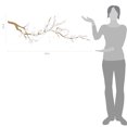 thumbnail image 2 of Large Japanese Cherry Blossom Tree Branch Vinyl Decal Wall Sticker | Girls Flowery Room Décor, 2 of 4