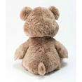 thumbnail image 6 of Flipemz Happy to Sad Bear 14" Plush Toy, 6 of 6