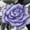 Blue Purple Rose Plaid, variant on Flower Plaid Print Womens Shoes Mule Casual Clog Backless Mesh Sport Fashion Comfortable Breathable Daily Wear
