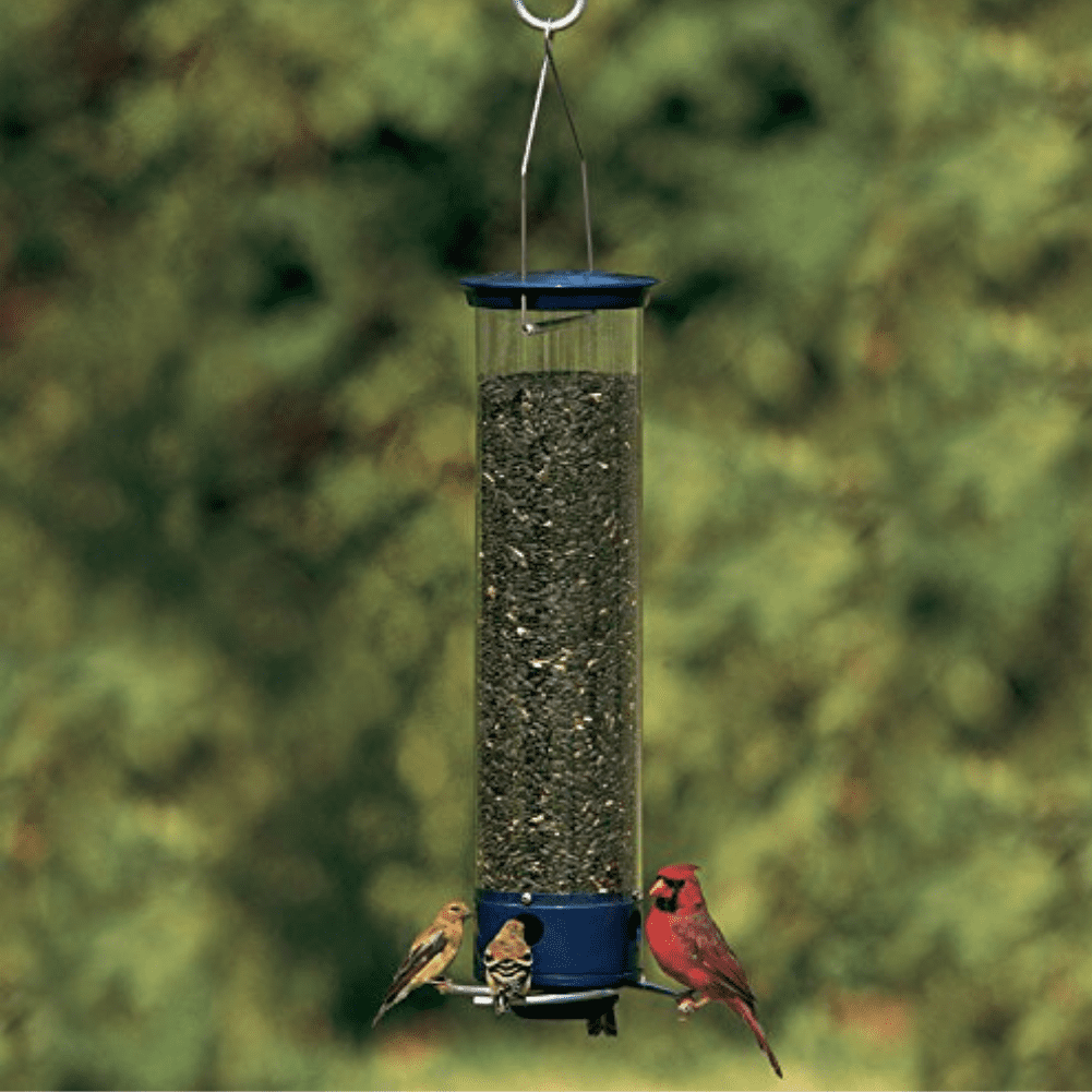Droll Yankees Squirrel Proof Bird Feeders for Outdoors - Whipper, Collapsible Perches, 5-Pound Seed Capacity, Blue
