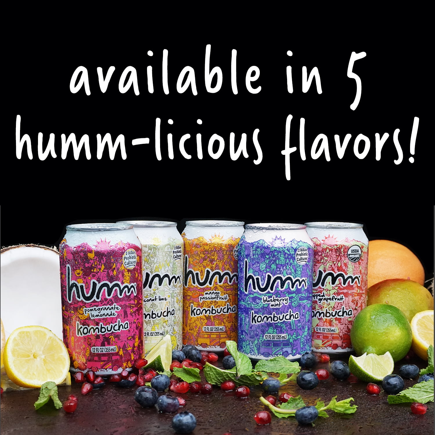 Humm Kombucha Tea, Pomegranate Lemonade, Probiotic, Organic, 12oz Can