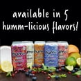 thumbnail image 6 of Humm Kombucha Tea, Blueberry Mint, Probiotic, Organic, 12oz Can, 6 of 6