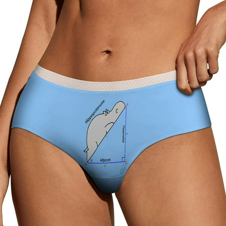 

Womens Panties Soft Lace Briefs Panty Bikini Underwear Sexy Underpants