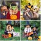 thumbnail image 2 of De Accesorios Para Fotos De Halloween Con Palos De Bambú, Fantasma, Araña, Murciélago, Calabaza, Mago, Señal, Accesorios Para Suministros De Fiesta 21 Uds. seitruly HA037391-00, 2 of 6