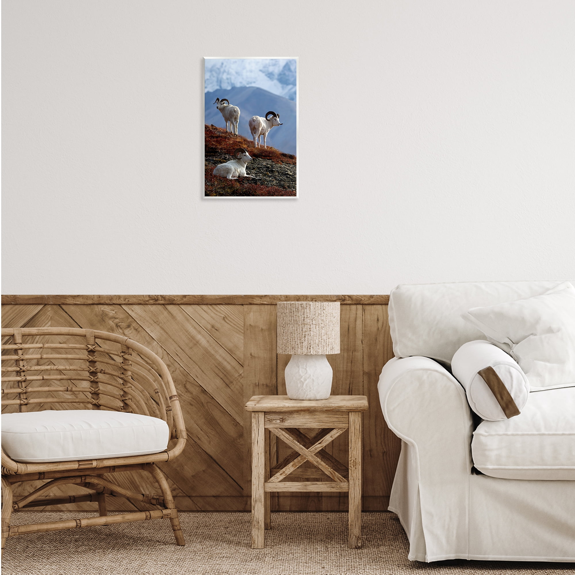 Stupell Industries Dall Sheep on Cliff Landscape & Nature Photography Unframed Art Print Wall Art, 13 x 19