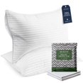 thumbnail image 1 of Almohadas y protectores de almohadas Beckham Hotel Collection Queen, 1 of 9