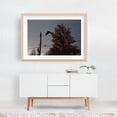 thumbnail image 6 of Pecking Order - Photography Silhouette Autumn Bird Moody Woodland Wildlife Gothic Unframed Wall Art Print 24 x 36 inches, 6 of 7
