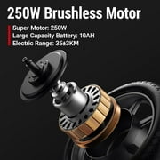 DYU 14 Foldable Electric Scooter for Adults - 500W Peak Motor, 36V 10AH Li-ion Removable Battery, City Commuter E Bike with Cargo Capability, Ideal for Urban Riding UL2849
