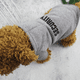 thumbnail image 5 of Sudadera con capucha para perros, suéter de invierno para perros, sudadera cálida para mascotas Adepaton  Ropa para Perro, 5 of 5