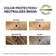 thumbnail image 2 of 2 Pack - L'Oreal Paris EverPure Brass Toning Purple Sulfate Free Conditioner 6.8 fl oz, 2 of 6