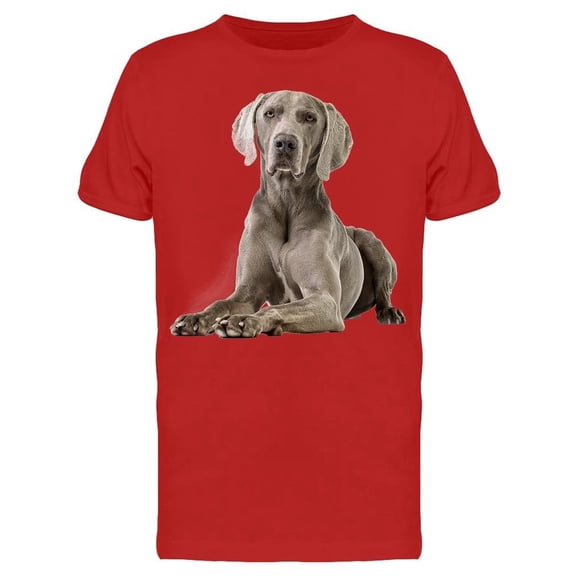 Laid Down Weimaraner Looking Tee Men's -Image by Shutterstock