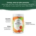 thumbnail image 5 of Swanson Kids Vitamin C Gummies - Orange 60 Gummies, 5 of 8