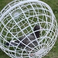 thumbnail image 4 of Billuyoard Paquete de 3 unidades de jaulas Friends para gallinas, para liberarlas y hacerlas más seguras, jaulas gratuitas para animales que Hábitats y jaulas para animales pequeños, 4 of 6