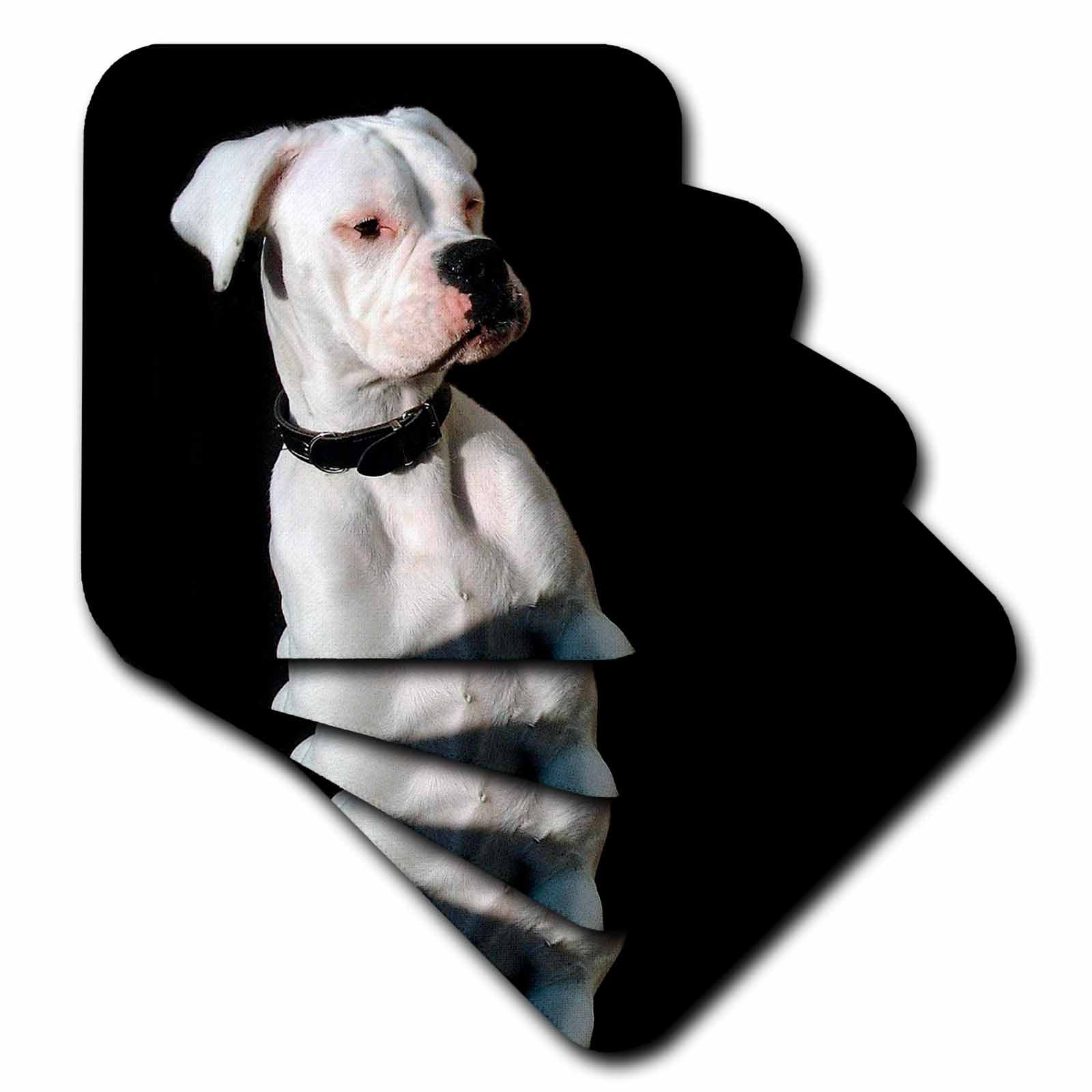 White Boxer Uncropped Ears set of 4 Coasters Soft cst11131