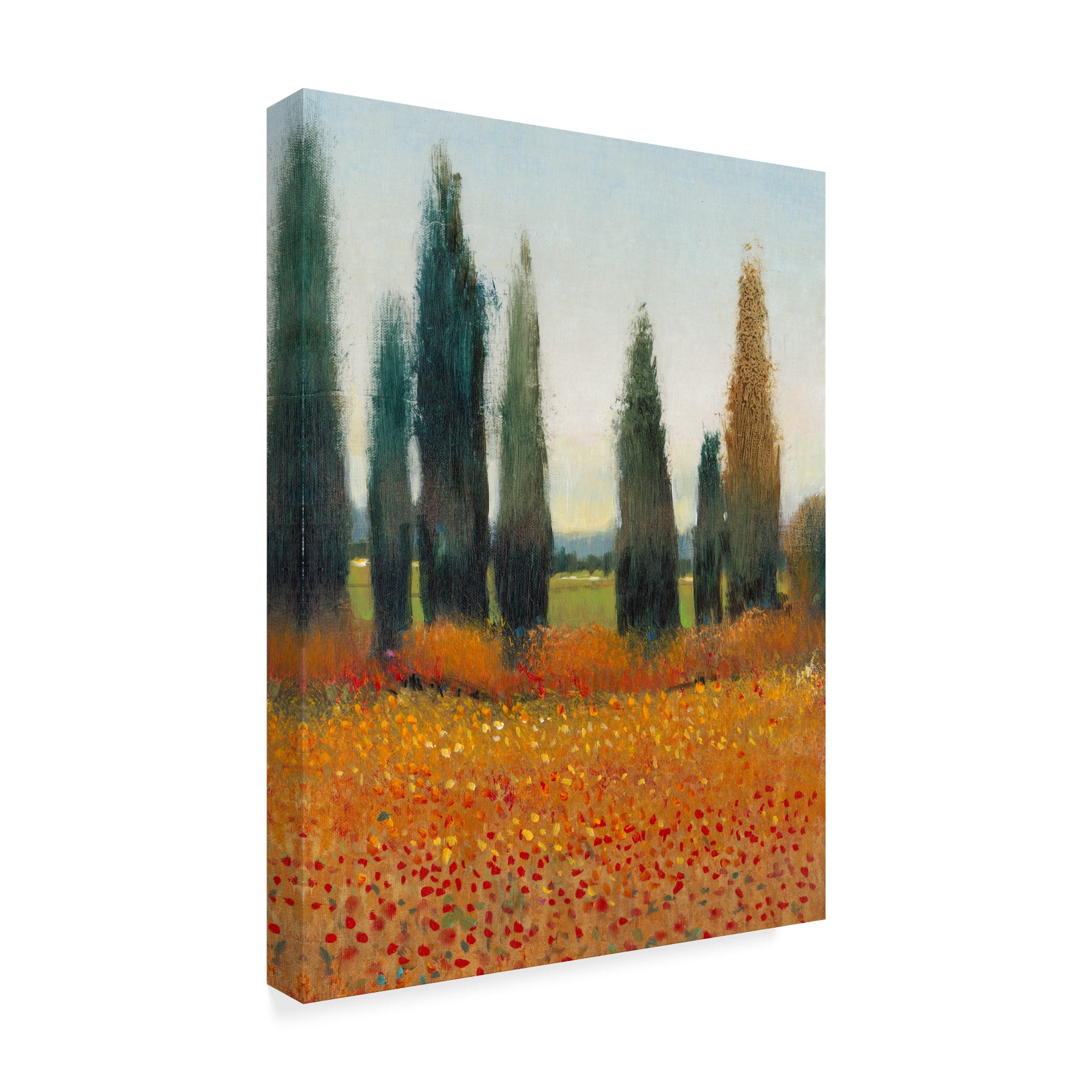 Trademark Fine Art 'Cypress Trees I' Canvas Art by Tim OToole