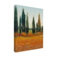 thumbnail image 2 of Trademark Fine Art 'Cypress Trees I' Canvas Art by Tim OToole, 2 of 4