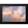 thumbnail image 2 of Deiter, Lori 18x13 Black Modern Framed Museum Art Print Titled - Painted Sky, 2 of 5
