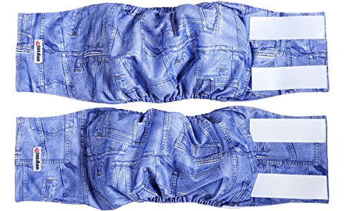 wegreeco belly bands