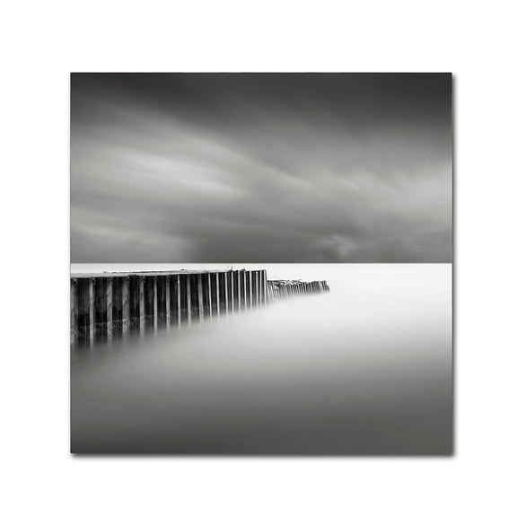 Trademark Fine Art Dave MacVicar 'Stormy' 14 x 14 (ALI0855-C1414GG)