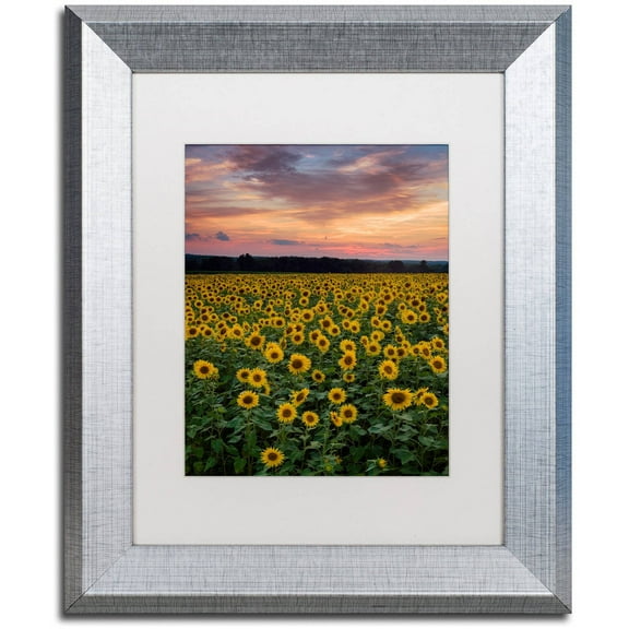 Trademark Fine Art "Sunflowers" Canvas Art by Michael Blanchette Photography White Matte, Silver Frame