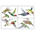 thumbnail image 1 of Pegatinas estáticas para ventana con forma de colibrí, 9 unidades, anticolisión, con alarma, pájaros, pegatinas de pared, calcomanías de colibrí volador extraíbles, impresión única de doble cara para, 1 of 8