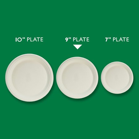 Hefty ECOSAVE Compostable Paper Plates (Pack of 20)