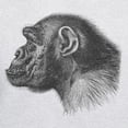 thumbnail image 3 of CafePress - Chimp Profile Hooded Sweatshirt - Pullover Hoodie, Hooded Sweatshirt, 3 of 3
