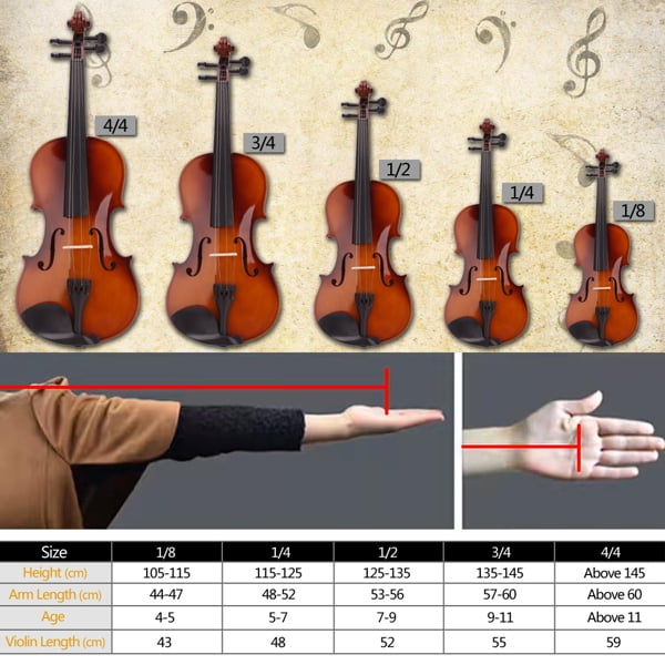 Alvantor 4/4 Full Size Acoustic Violin Set with Case, Bow, Rosin & Accessories