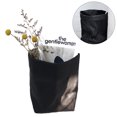 thumbnail image 2 of HEALEEP 1Set Reusable Washable Kraft Paper Bag for Decorative Use, 2 of 6