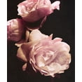 thumbnail image 2 of Navas, Emily 15x17 White Modern Wood Framed Museum Art Print Titled - Solitary Bouquet II, 2 of 4