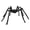 Black, variant on 1Pcs Halloween Giant Hairy Spider Decorations, Oversized Fake Spider Prop with Realistic Flocking and Poseable Legs for Indoor Outdoor Yard Porch Tree Lawn and Party Spooky Displays 78.7 Inch Black