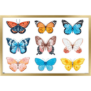 Watercolor Butterflies