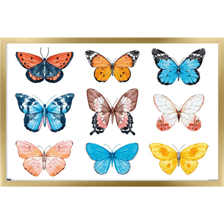 Watercolor Butterflies