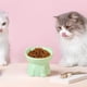 thumbnail image 4 of Comedero elevado de cerámica para gatos | Gran capacidad de 250 ml | Diseño ancho y poco profundo para aliviar la fatiga de los bigotes y brindar soporte al cuello | Comedero y bebedero fácil, 4 of 6