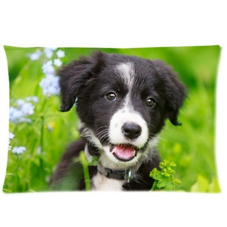 - WOPOP Border Collies Black Puppy Zippered Pillow Case 20x30 inches Two Sides Print