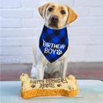 thumbnail image 5 of Pañuelo de cumpleaños para perro, pañuelo triangular a cuadros para cumpleaños de perro, se adapta a suministros de cumpleaños para perros de tamaño mediano, color azul JAMW Sencillez, 5 of 5
