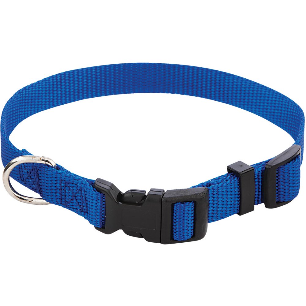 Westminster Pet Ruffin' it Adjustable 10 In. to 16 In. Nylon Dog Collar ...