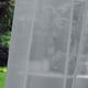 thumbnail image 3 of Abanopi, 3 of 8