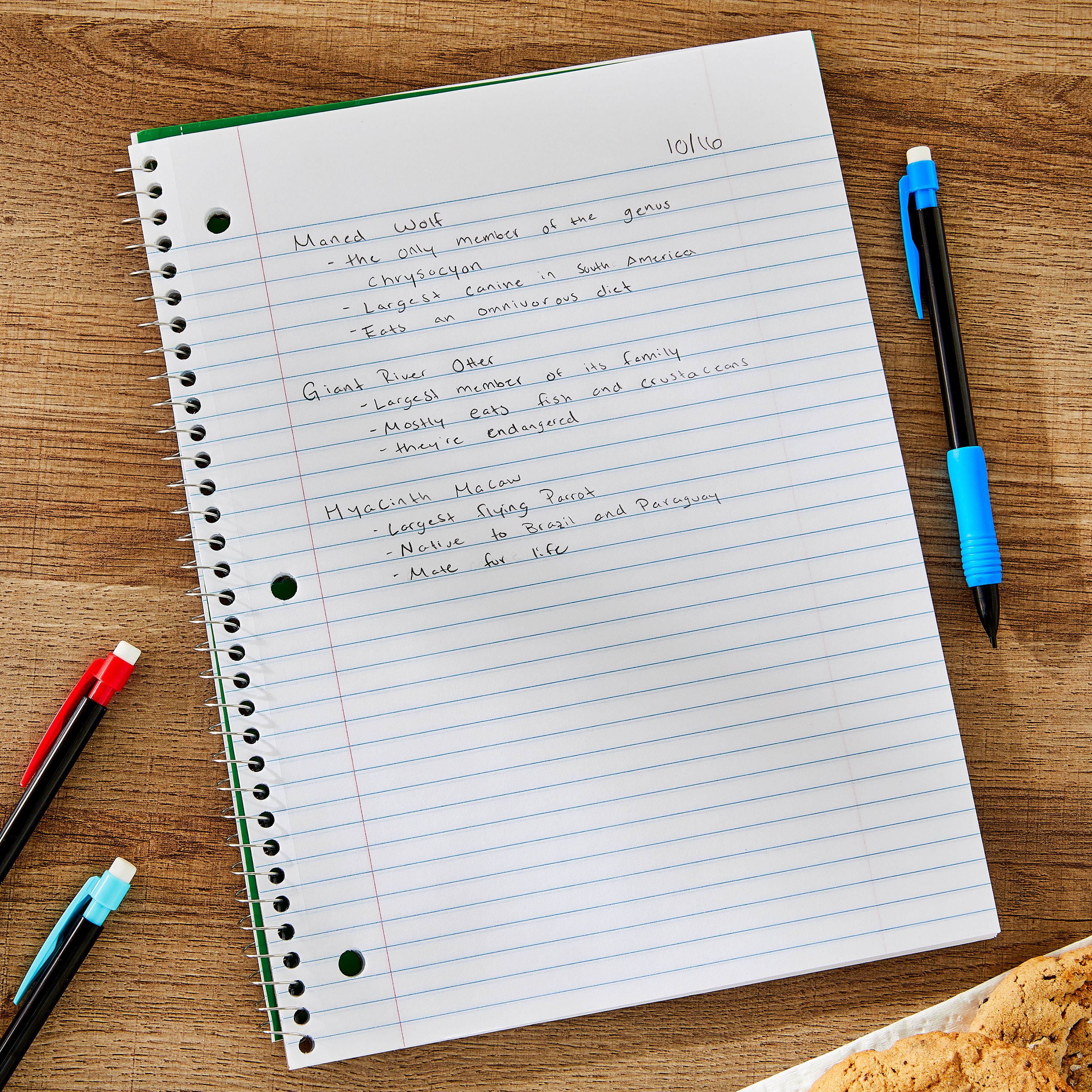 Cuaderno 1 materia Pen+Gear College Ruled, 8 x 10.5 pulgadas, verde, 70 hojas 3