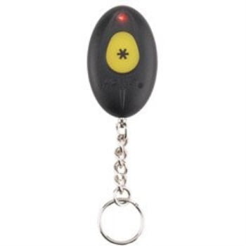 hornet 569t automotive remote start system