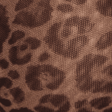 Classic Leopard