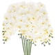 thumbnail image 1 of Uxcell 6-Pack Flores de Orquídea Artificial 9 Pétalos Grandes 37 Pulgadas Ramo de Phalaenopsis de Seda Blancas Orquídeas Falsas para el Hogar/Boda, 1 of 1