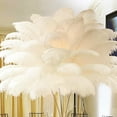 thumbnail image 7 of 20 Pcs Ostrich Feathers Bulk,Bexikou 8-10 Inch Natural Ostrich Feathers Plumes for Wedding Party Centerpieces DIY Crafts Vase Decorations (White), 7 of 7