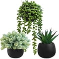 thumbnail image 1 of Set of 3 Artificial Succulent Plants in Black Concrete Pots Faux Aloe Hops String of Pearls Potted Plants Small Fake Plants Desk Plants for Home Office Desk Kitchen Bathroom Shelf Windowsill, 1 of 8