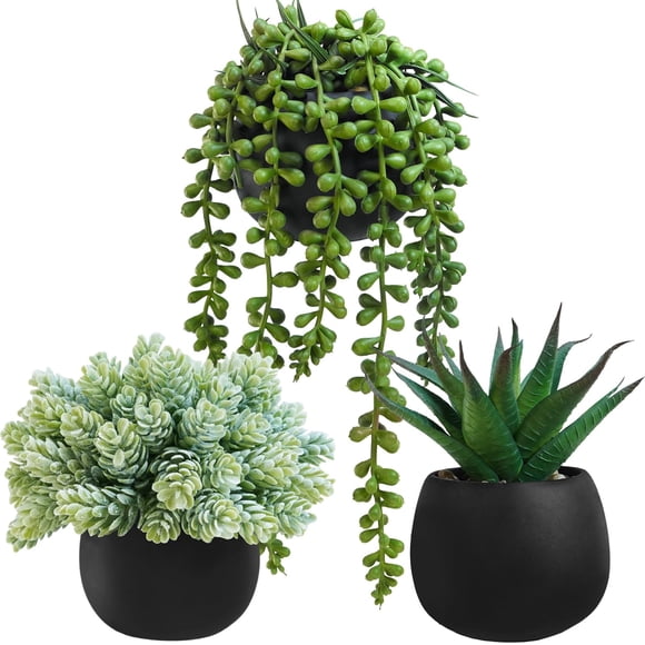 Set of 3 Artificial Succulent Plants in Black Concrete Pots Faux Aloe Hops String of Pearls Potted Plants Small Fake Plants Desk Plants for Home Office Desk Kitchen Bathroom Shelf Windowsill