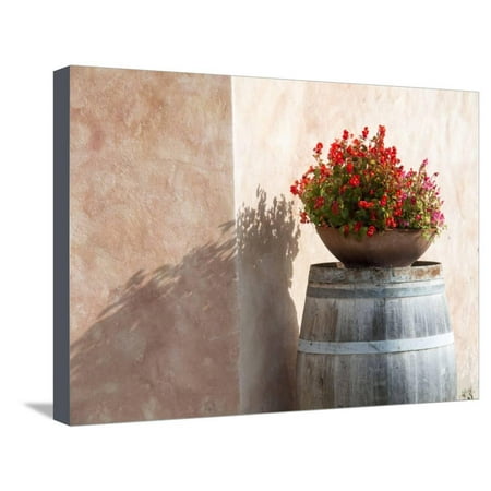 Europe, Italy, Tuscany. Flower Pot on Old Wine Barrel at Winery Stretched Canvas Print Wall Art By Julie